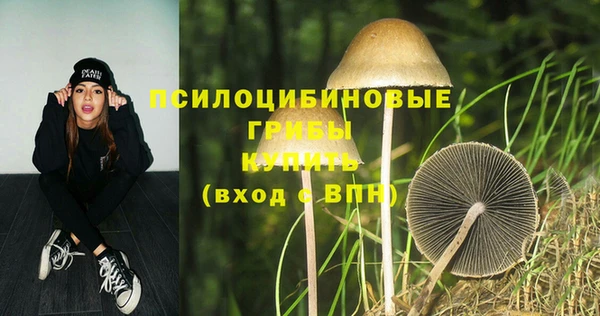гидра Армянск